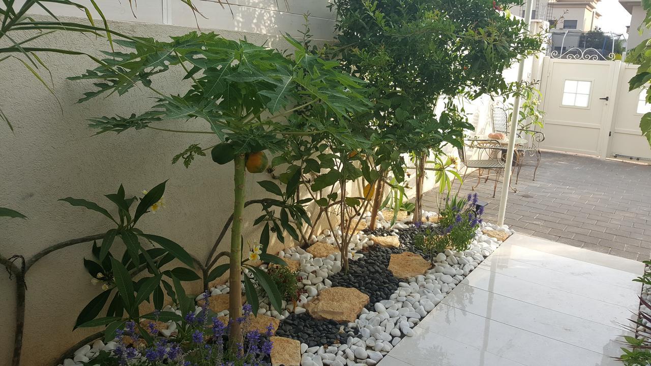Regina'S Place Or Akiva Buitenkant foto